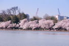 Washington DC